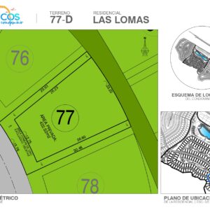 Las Lomas D77 - 588 m²
